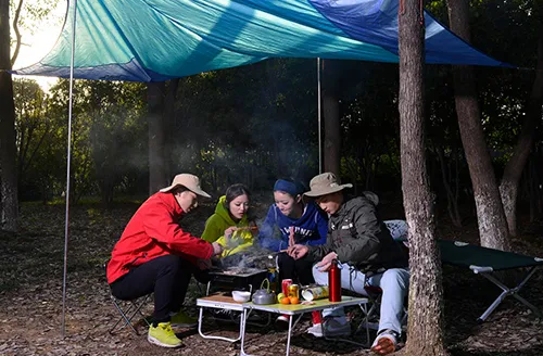 人間工学の芸術：リクライニングチェアにおける快適さとデザインの詳細に関する科学