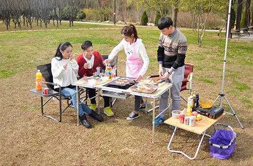 現代生活における多次元的な中心的存在：リクライニングチェアの健康、社会的、そして美的価値